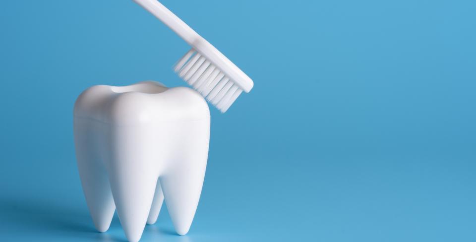 Toothbrush on a tooth